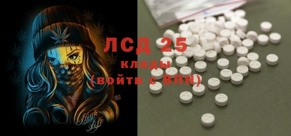 ПСИЛОЦИБИНОВЫЕ ГРИБЫ Тутаев