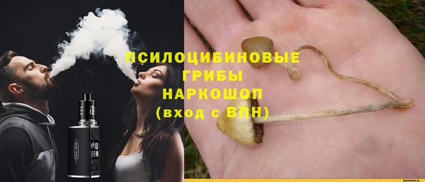 соль ск Вязники
