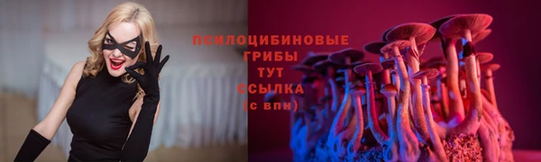 гашиш Вяземский