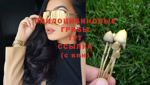 гашиш Вяземский