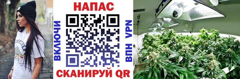 Марихуана Bruce Banner  даркнет Telegram  Камызяк  блэк спрут tor 